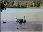 foto Lago di Toblino